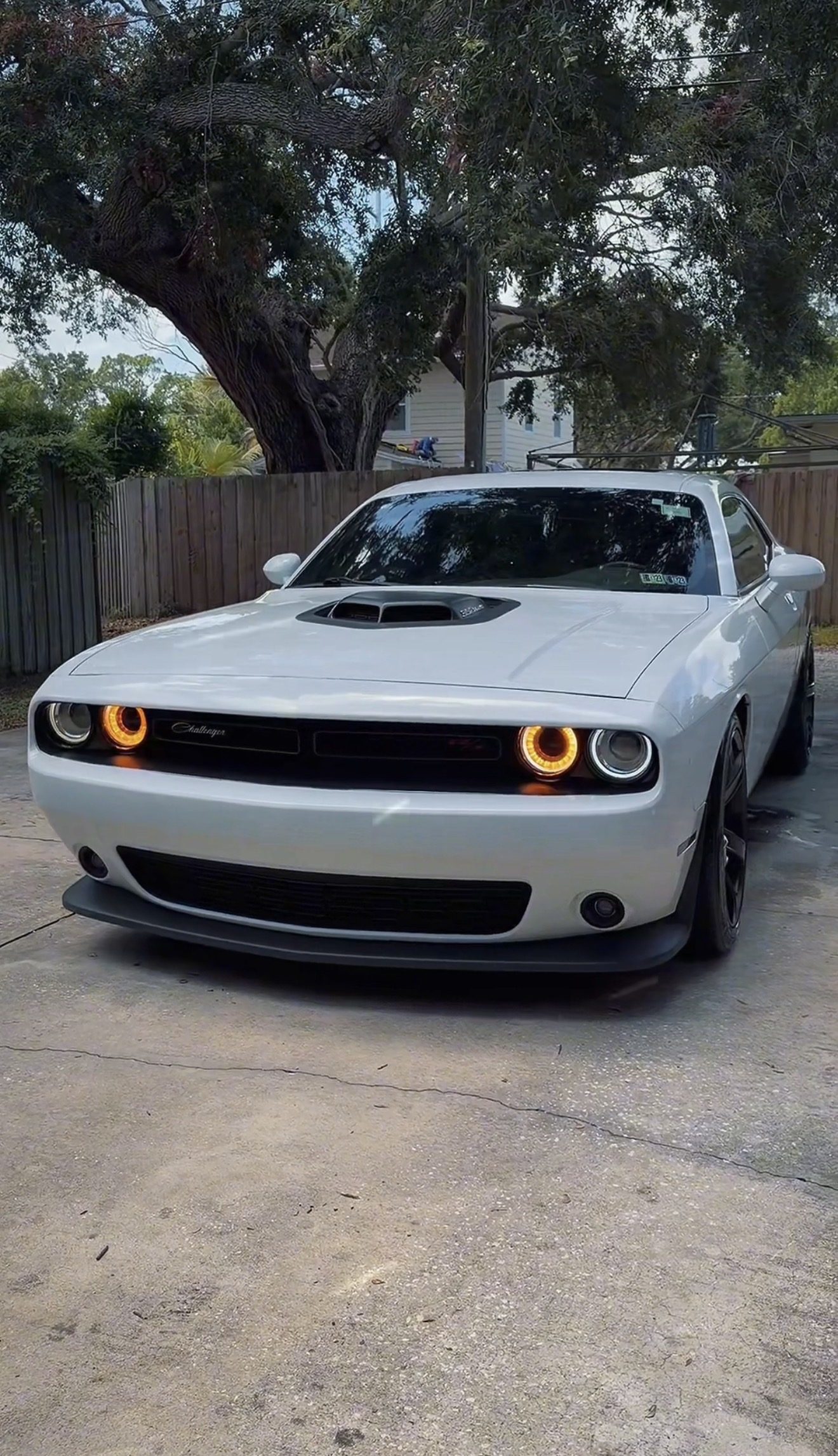 White Dodge Challenger detailed by Harn Detailing Co.